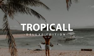 Tropicall Deluxe Edition | For Mobile and Desktop