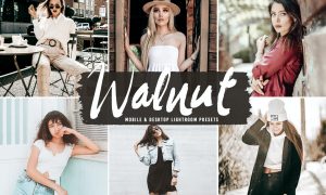 Walnut Mobile & Desktop Lightroom Presets