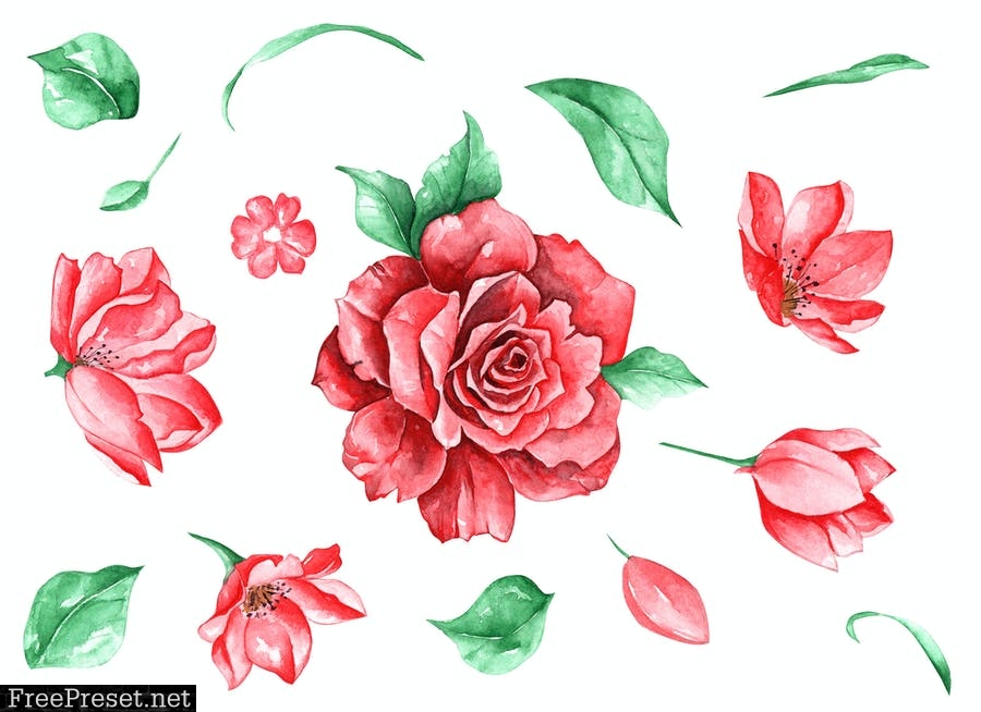 Watercolor roses buds Q7X2VSS