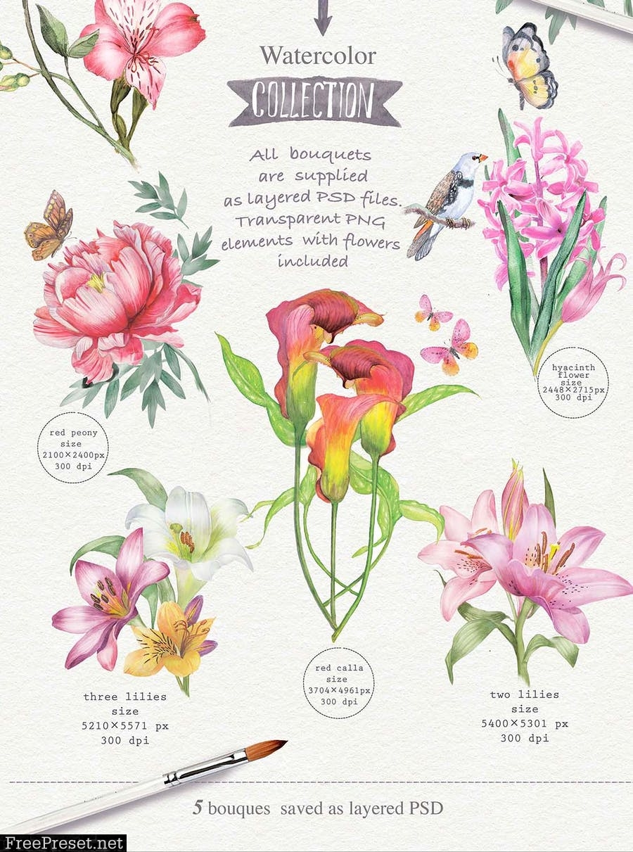 Wild flowers collection 75 PNG