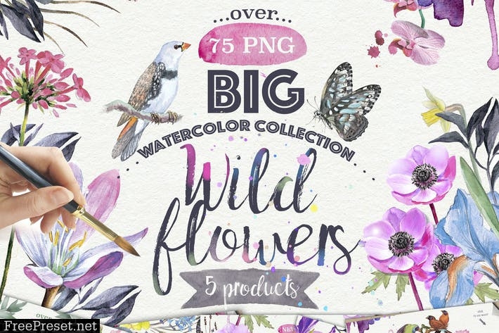 Wild flowers collection 75 PNG