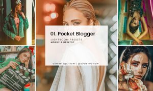 01. Pocket Blogger Presets 2785877