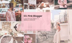 03. Pink Blogger - Presets 2832717