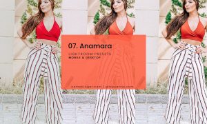 07. Anamara Blogger Presets