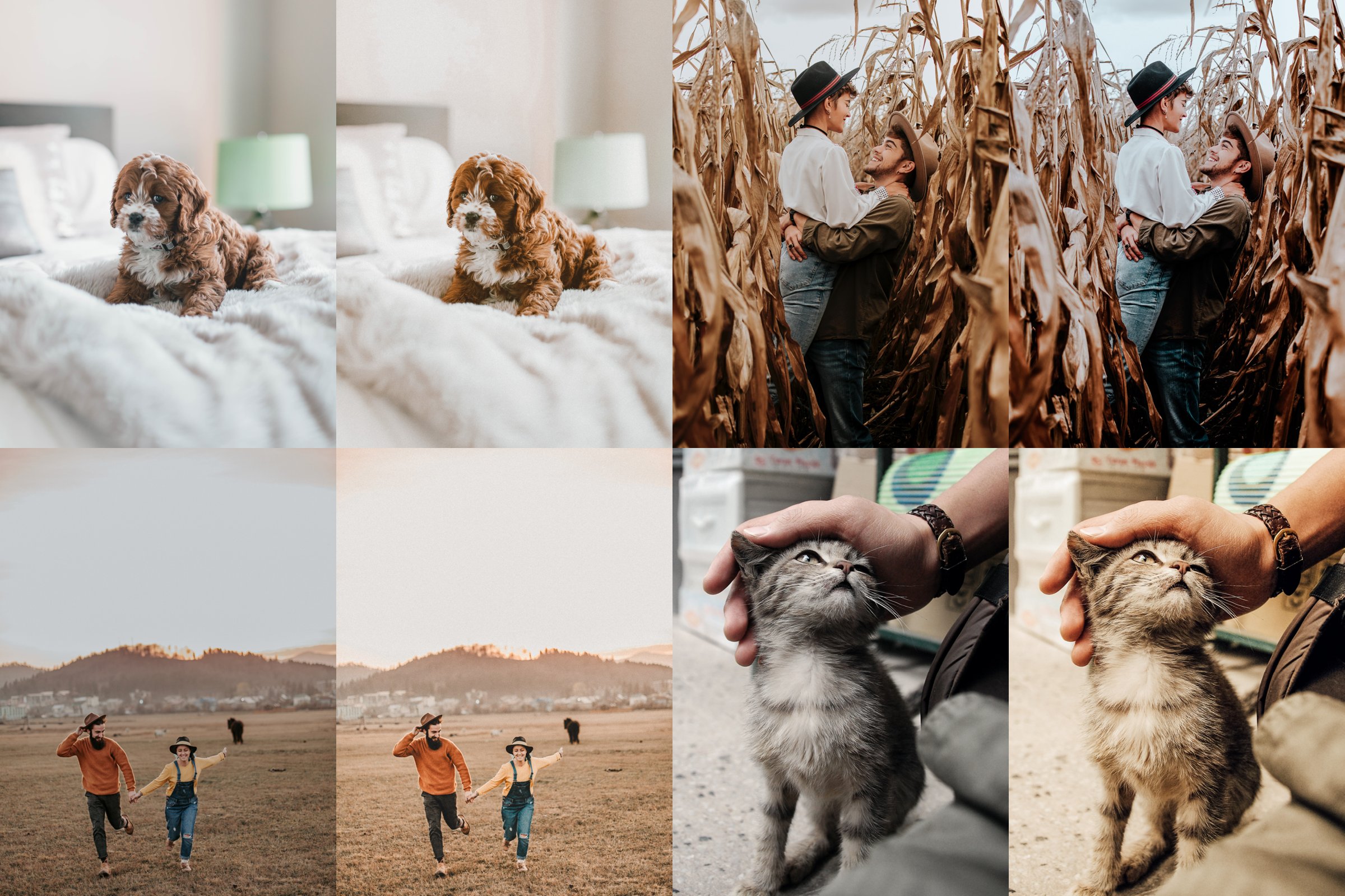 25. VSCO VSCO - Lightroom Presets