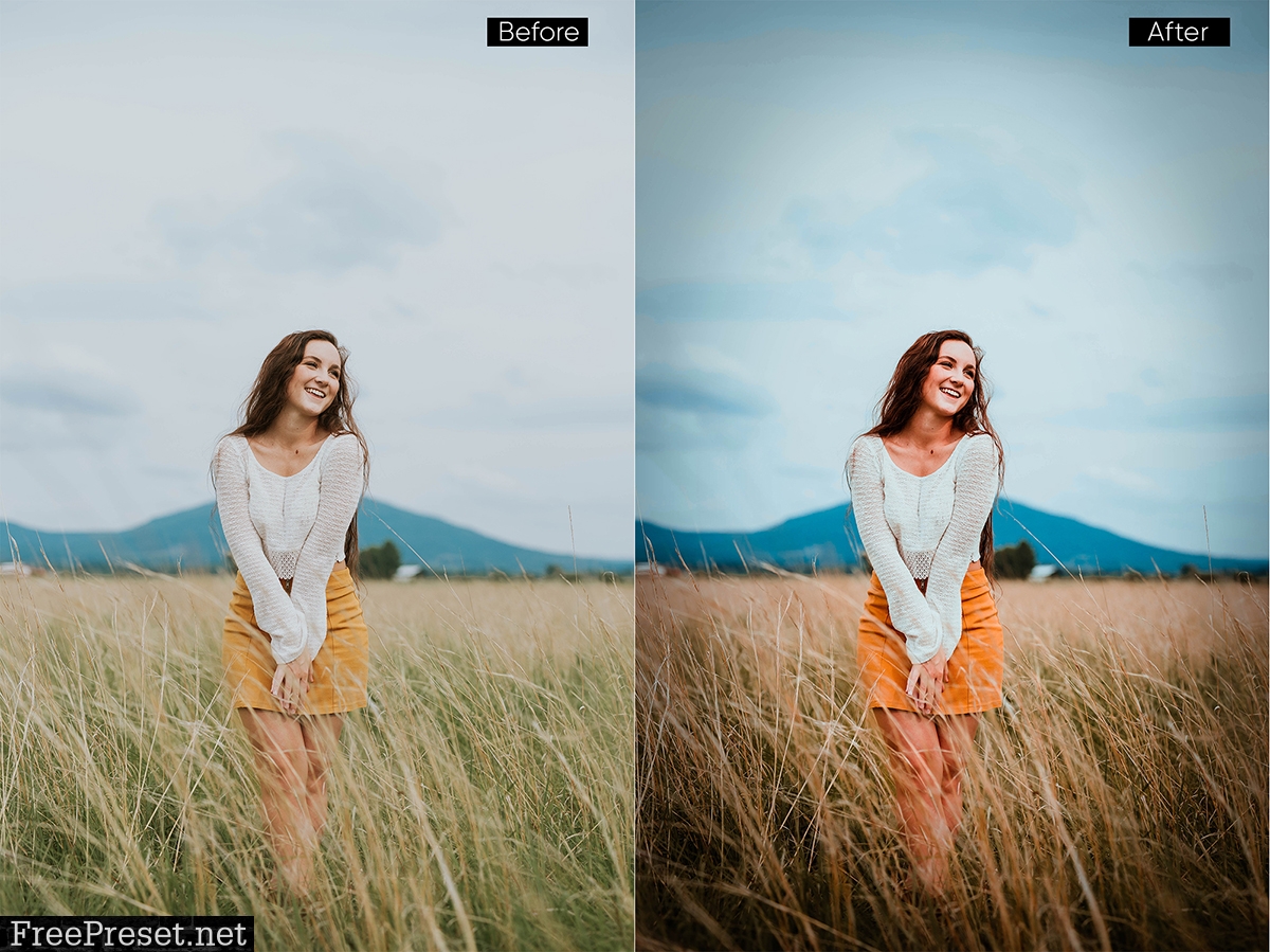 35 orange portrait effect presets 22141416
