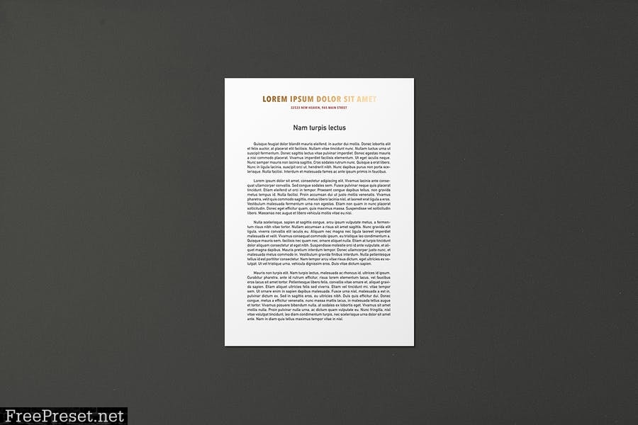 A4 Letterhead & Folder Mockup FMJ37U9