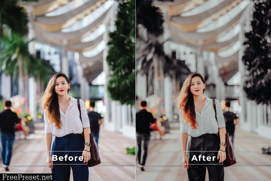 Amorist Desktop and Mobile Lightroom Preset