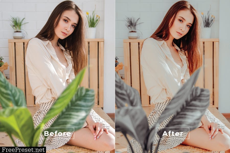 Amorist Desktop and Mobile Lightroom Preset