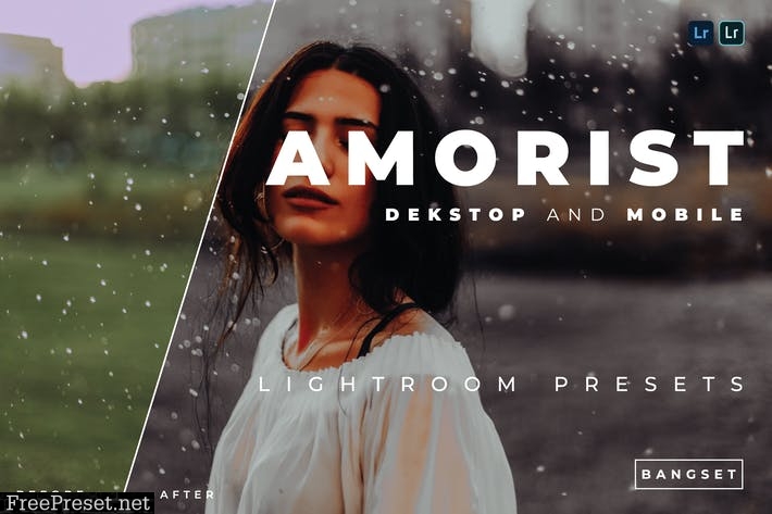 Amorist Desktop and Mobile Lightroom Preset