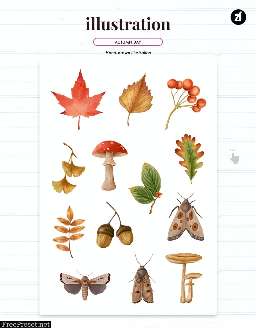 Autumn season illustration and pattern CEYSWML