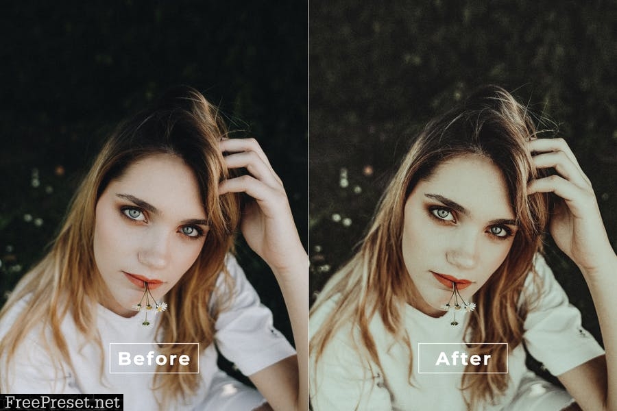 Awesome Desktop and Mobile Lightroom Preset