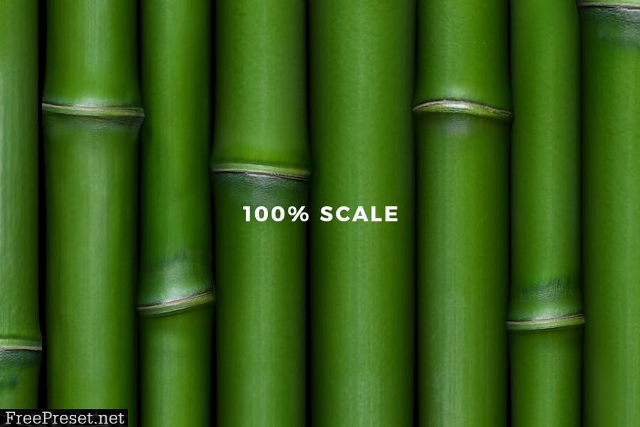 Bamboo Patterns EX4VJZW