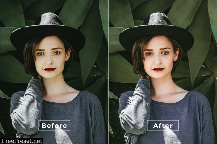 Beauty Desktop and Mobile Lightroom Preset