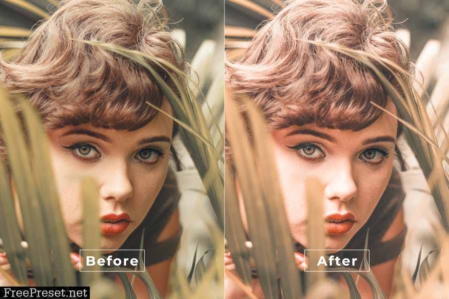 Beauty Desktop and Mobile Lightroom Preset