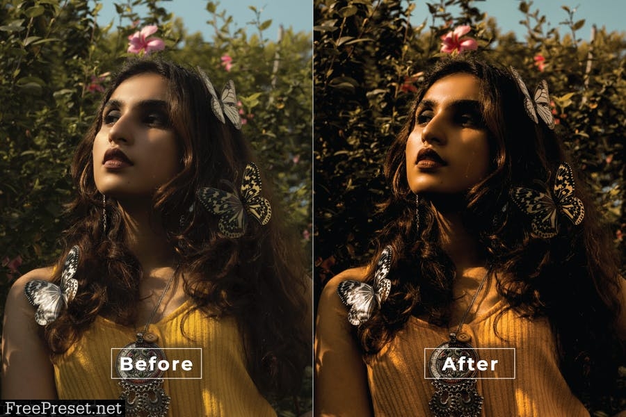 Bohemian Desktop and Mobile Lightroom Preset