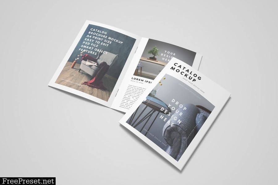 Brochure Catalog Mockup 7JF297N