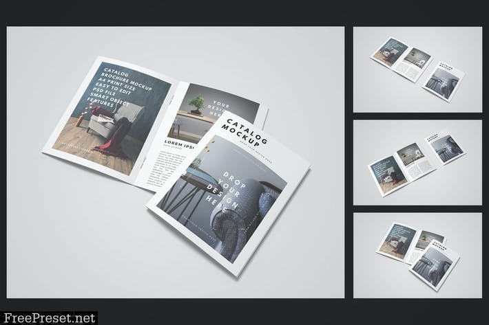 Brochure Catalog Mockup 7JF297N