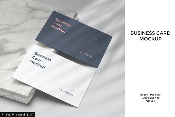 Business Card Mockup V. 4 GWSAGW2