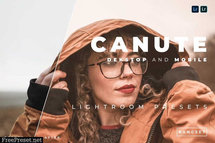 Canute Desktop and Mobile Lightroom Preset