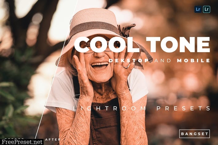 Cool Tone Desktop and Mobile Lightroom Preset