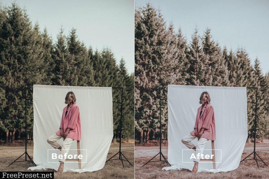 Darice Desktop and Mobile Lightroom Preset