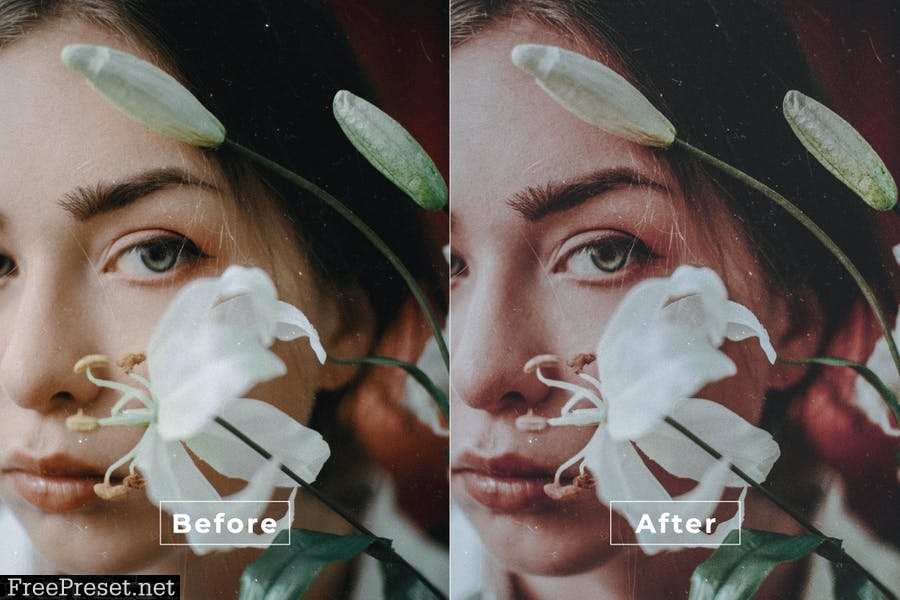 Darice Desktop and Mobile Lightroom Preset