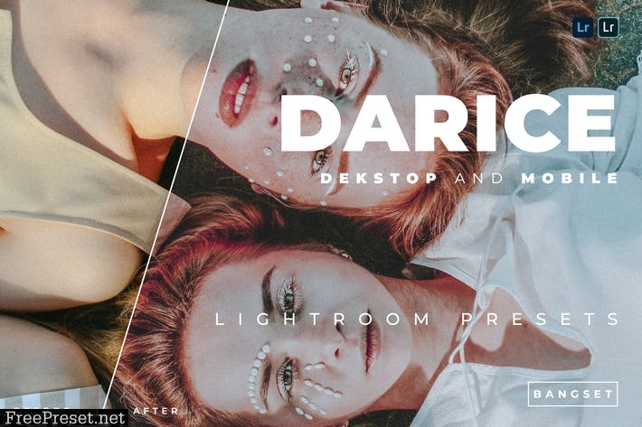 Darice Desktop and Mobile Lightroom Preset