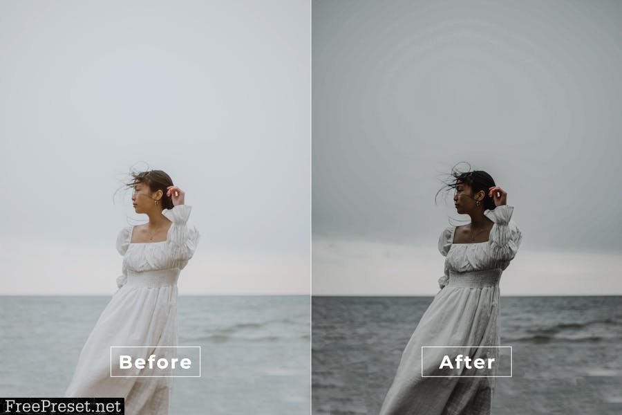 Dark Premium Desktop and Mobile Lightroom Preset