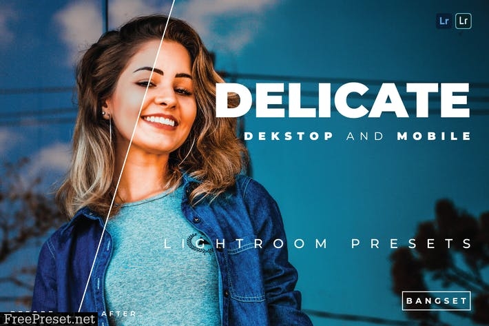 Delicate Desktop and Mobile Lightroom Preset