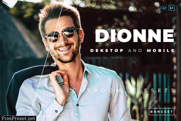 Dionne Desktop and Mobile Lightroom Preset