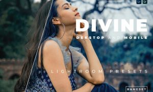Divine Desktop and Mobile Lightroom Preset