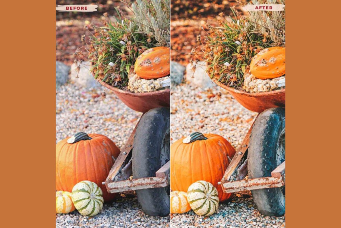 FALL VIBES Mobile Lightroom Presets 5712600