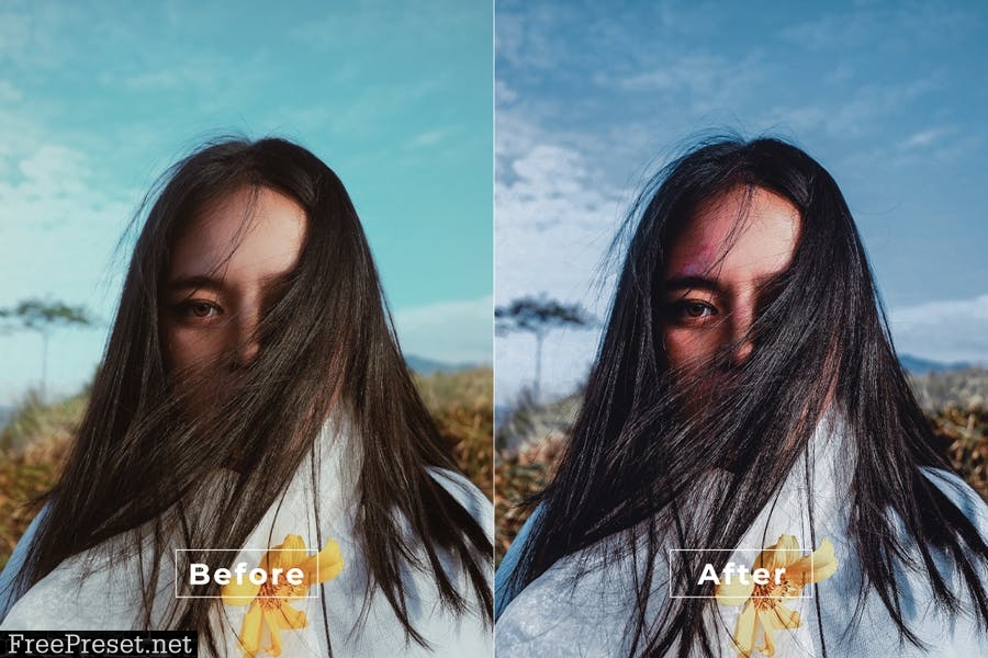 Fascinating Desktop and Mobile Lightroom Preset