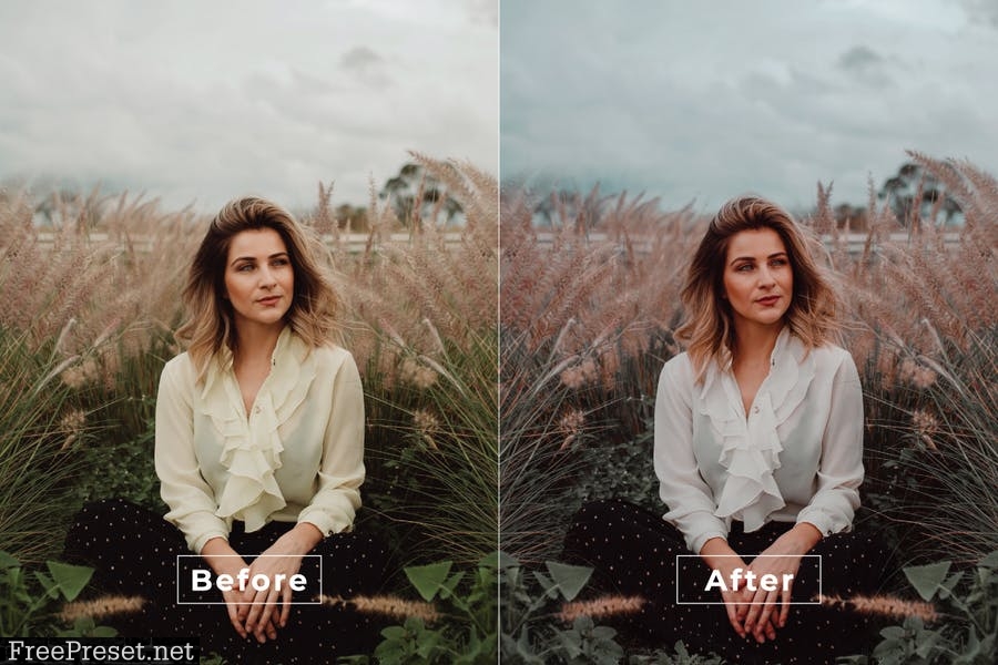 Film Desktop and Mobile Lightroom Preset