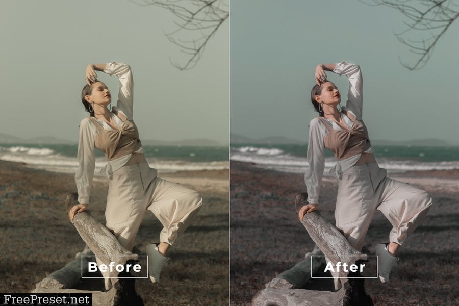 Film Desktop and Mobile Lightroom Preset