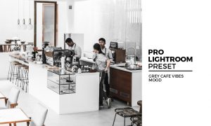 Grey Cafe Mood Lightroom Presets 5982434