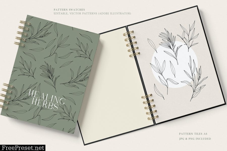 Herbs Patterns & Illustrations RD9VKEE