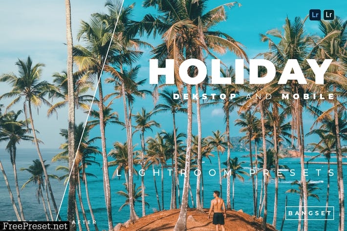 Holiday Desktop and Mobile Lightroom Preset