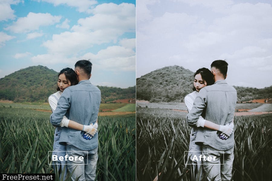 Hug Desktop and Mobile Lightroom Preset