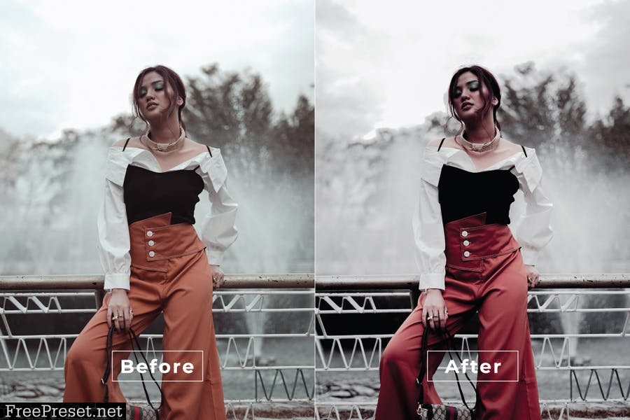 Influencer Desktop and Mobile Lightroom Preset