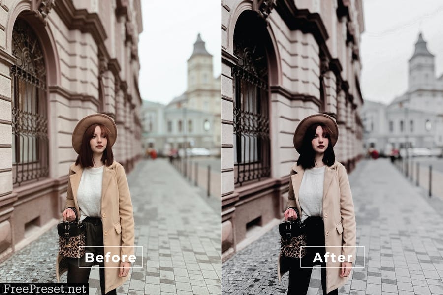 Influencer Desktop and Mobile Lightroom Preset