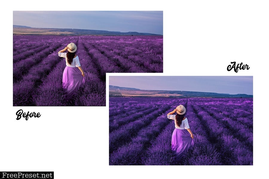 Lavender - 15 Premium Lightroom Presets