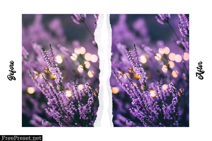 Lavender - 15 Premium Lightroom Presets