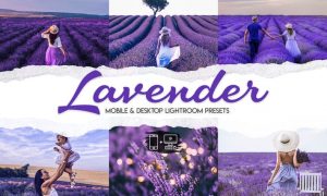 Lavender - 15 Premium Lightroom Presets