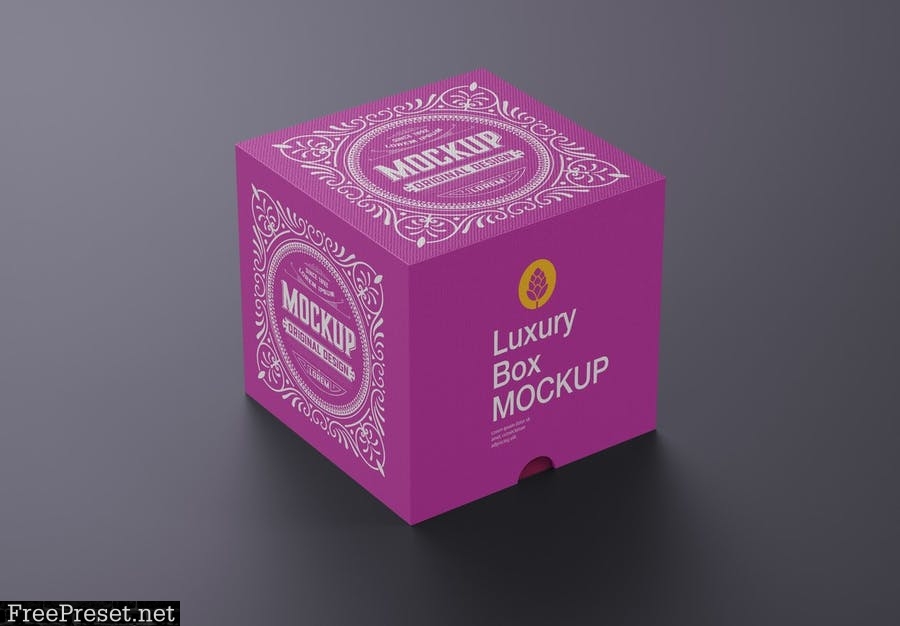 Luxury Cardboard Box Mockup BUY4WAJ