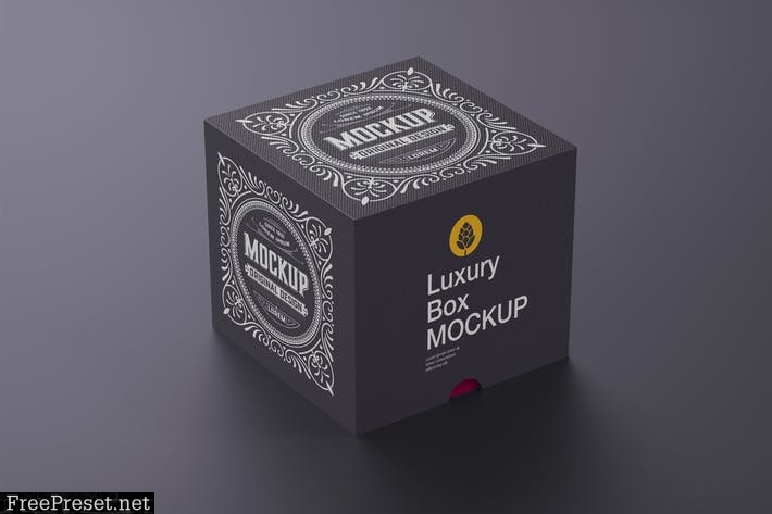 Luxury Cardboard Box Mockup BUY4WAJ