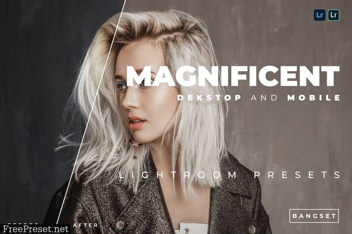 Magnificent Desktop and Mobile Lightroom Preset