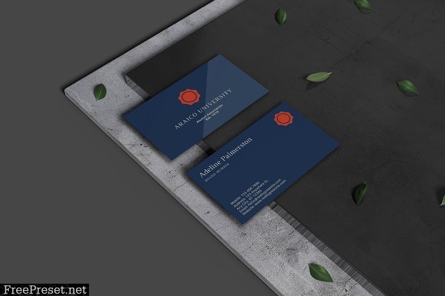 Minimal Business Card Mockup ELMN2TP