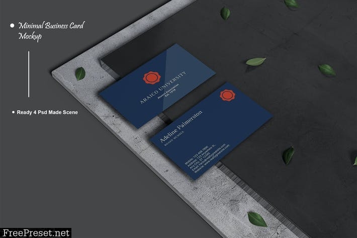 Minimal Business Card Mockup ELMN2TP